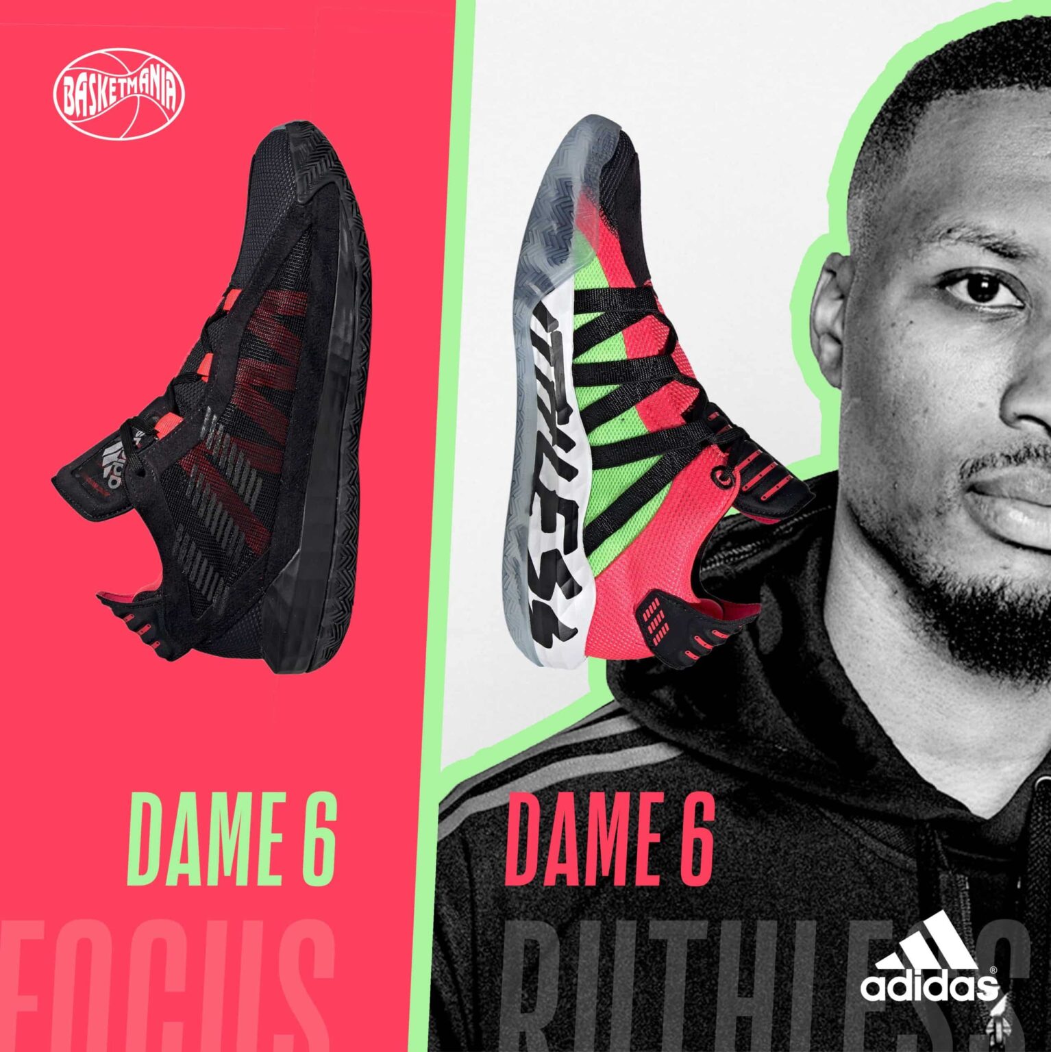 DAME6-scaled